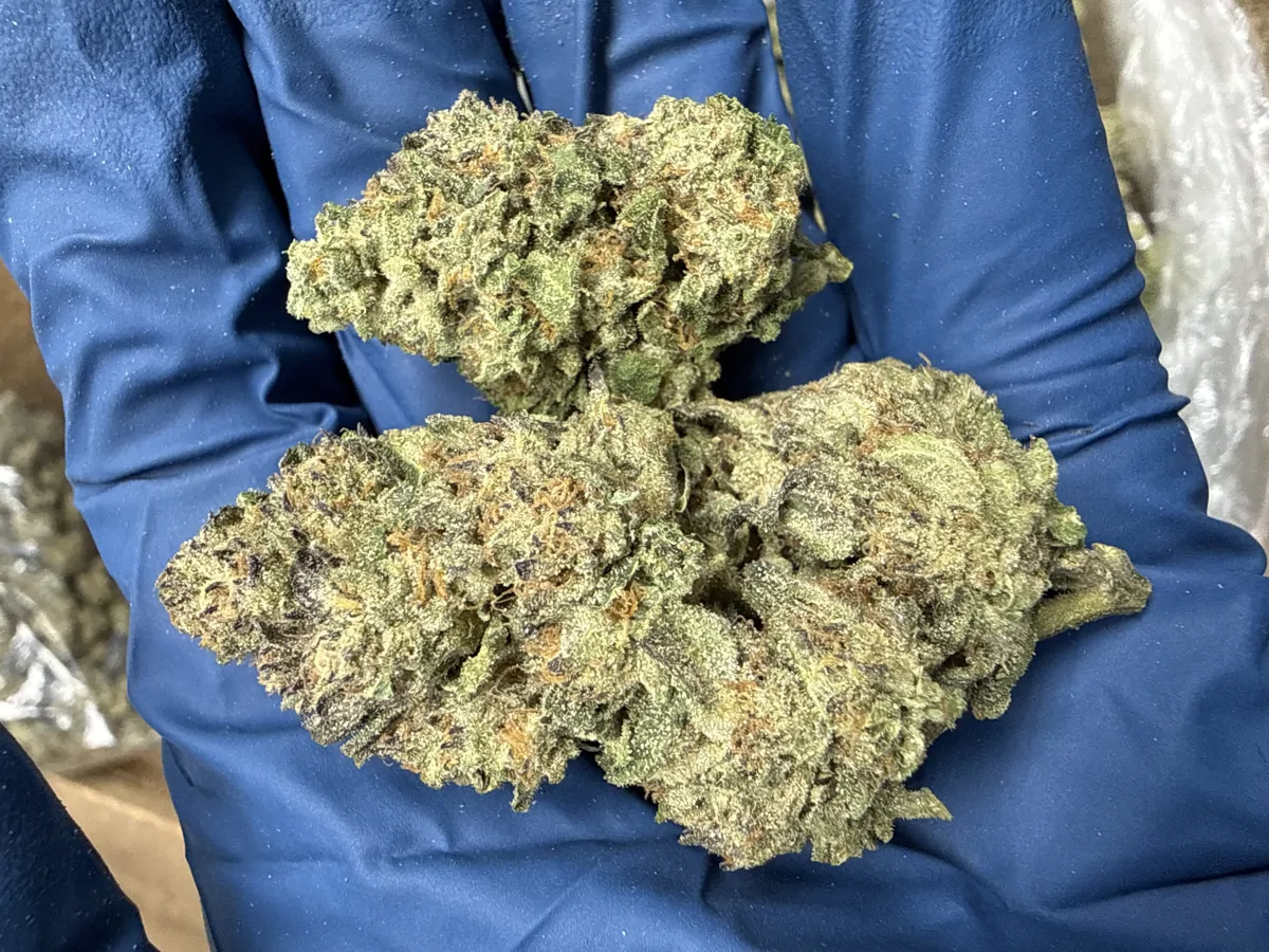 Ice Cream Cake Packaged Flower